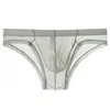 Underpants Ultra-Thin Transparent Briefs Man U Pouch Lingerie Breathable Gay Underwear Sissy Panties For Men Plus Size 3X