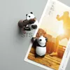 Kylmagneter Panda som ligger på trädgrenen Creative Magnet Buckle Kylskåp Magnet Sug Magnetiska klistermärke Hemdekoration Fotvägg X0731