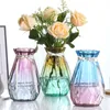 Vases Creative transparent vase European color home glass rich bamboo dried flower green dill hydroponic 230731