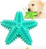 Forniture per animali domestici Bastone per macinare i denti Spazzolino per cani Suono che produce un giocattolo per cani con stelle marineA