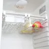 Organizador de plástico transparente para armazenamento de cozinha, deslizar sob a prateleira, gaveta, caixa, rack, geladeira, ovo, vegetais, frutas, alimentos, recipiente