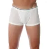 Cuecas 2023 homens simples modal macio corpo sentindo respirável u galo bolsa boxer roupa interior