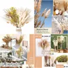 Dekorativa blommor kransar dekorativa blommor pampas gräs torkat 46 styckes set dekoration naturlig bukett arrangemang droppleverans d dhdri