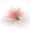 Colorful Natural Ostrich Feathers Brooch Fashion Lapel Pins Scarf Clip for Party Hats Girl Women Jewelry Accessory