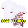 Jerseys de rugby 2023 2024 Rugby World 23 24 Copa Jersey Inglaterra camisas Uniformes del equipo nacional Top Reino Unido 150 años de entrenamiento Sevens 4XL 5XL