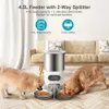 Dog Bowls Feeders Tuya Smart APP Pet Feeder Cat And Food Automatic Dispenser Suitable For Small MediumSized Cats Dogs Remote Feeding 231031