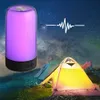 Veilleuses LED USB Type-C Veilleuses Musique Fluide Couleur Lampe RVB Musique Lampe Chambre Décoration Fête Atmosphère Veilleuses P230331