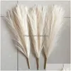 Decorative Flowers Wreaths Decorative Flowers 7 Forks 45Cm Pampas Secas Grass Decor Artificial Reed Fake Flower Wedding Party Home B Dhzgp