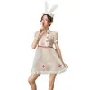 Ani Anime Girl Cute Nurse Uniform Costume Mesh White Women Swim Dress Swimsuit Cosplay cosplay