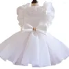Dog Apparel Cute Sweet Pet Clothing Fashion Lace Stitching Princess Dress Clothes Designer Elegant White Wedding For Cat
