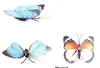 4,5 cm enkel simulering fjäril kylskåp magnet/ stift 3D fjärilar pvc avtagbara väggklistermärken fjärilsdekoration i039