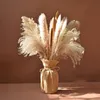 Faux Floral Verdure Fluffy Pampas Herbe Décoration Boho Mariage Arrangement Naturel Phragmites Fleurs Séchées Bouquet Maison Table Basse Décor 231101