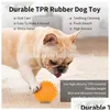 Dog Toys Tuggar Dog Toys Tuggar Spiky Ball Squeaky Chew Balls With Tra Bouncy Hållbart TPR -gummi för valp och husdjur rengör DRO DHWPD