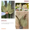 Decoratieve bloemen 4 pc's Gedroogde bloemenboeket Huisdecoratie Palmfans Weddingtafel Decor Leaf tropische bladeren