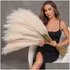 Couronnes de fleurs décoratives Fleurs décoratives 39 pouces Fluffy Artificielle Pampas Grass Fleur pour décor Boho Bouquet Mariage Maison Chris Dhzqj