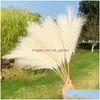 Flores decorativas grinaldas flores decorativas 70cm simation seda pampas grama flor buquê artificial plantas falsas para casa de casamento dhcbn