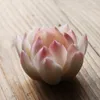Tea husdjur kreativa keramiska lotus spela hushåll handgjorda dekorativa butik zen husdjur vardagsrum bord tillbehör