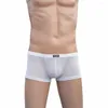 Underpants 2023 Brand HOWE RAY Men's Sexy Boxer Shorts Ultra-thin Men Gay Underwear Transparent Grenadine Boxers Nylon