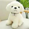 22CM Kawaii Teddy Dog giocattoli di peluche Bambole di cane Husky di vita reale farcite adorabili per bambini Regali di compleanno per bambini