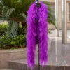 6Ply 2Meters Feather Boa Costume Odzież Szycie Akcesorium Naturalne struś pióra Szalik Szalik 2 metry/komputery