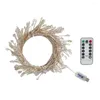 Stringhe di luci a grappolo di Natale USB con petardo a LED esterno remoto Stringa di filo di rame fata per la decorazione dell'albero di Natale della festa