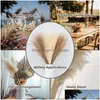 Decorative Flowers Wreaths Decorative Flowers 55Cm Faux Pampas Grass Artificial Decoration Fluffy White Fake Flower Reed For Home We Dhnln