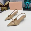 2023 Designer Women Sandals High Heels Summer Pointed Toe Sexy Ankle Strap 5.5cm Embroidered Plus Size Sandals 34-42