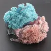 Hair Clips Fashion Gorgeous Crystal Fabric Flower Rhinestone Tassel Exaggerated Hoop Ladies Prom Bride Accessories 863