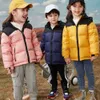 Winter North Down Face Faced Jacket Kids Fashion Classic Outdoor Warm Down 코트 얼룩말 패턴 줄무늬 편지 인쇄 복구 재킷 멀티 컬러 베이비 의류