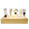 Veilleuses Alphabet-Personnalisé Fleur Éternelle LED Veilleuse USB Lettre Led Lampe Décorative Séchée Pour Amant Femme Petite Amie Cadeau D'anniversaire P230331