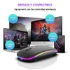 Ratones Ratón inalámbrico Bluetooth y 2.4GHz Modo dual Carga RGB Ergonómico Silencio Haga clic PC iPad Teléfono portátil TV 231101