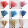 الزهور المجففة 10 30pcs Fluffy Pampas العشب الديكور الاصطناعي لحفل الزفاف Boho Bouquet Party Home Decor