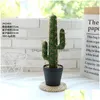 Ghirlande di fiori decorativi Fiori decorativi Cactus tropicale artificiale Bonsai Ornamenti creativi Succents Decorazione domestica Falso Pla Dhjm0