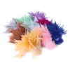 Natural Rooster Chicken Feather Tail High Quality Feathers 1000 PCS/1 Bunch Costume Clothing Decorative Trimming 6-8 Inch