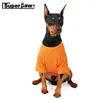 Одежда для собак, модная летняя футболка, жилет корги, шнауцер, одежда для домашних животных, одежда для собак, костюм Тедди для кошек, мопса, GKC16 231031