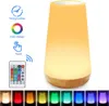 Nachtlichter 13 Color Touch Nachtlicht Fernbedienung Nachtlampe USB dimmbare RGB Zimmer Nachttischlampen Kind Schlafzimmer Tischlampe Dekoration P230331