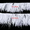 1 Meter Fluffy Feathers Ribbon Fringe 10-22cm Natural Ostrich Feather Trimming for Costume Skirt Sewing Accessory Fabric