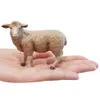 Gesimuleerde dierentuin schapenmodel boerderij dieren actie figuur kinderen kinderen poppen figurine collectie speelgoed cadeau home decor