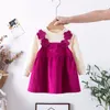 Girl Dresses 2023 Baby Autumn Long Sleeve Toddler Children Clothes Fashion Flower Dress Kid's Costume For 0-2year Girls