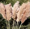 60 cm pampas gräsbukett torkat blomma grossistbröllop Använd juldekor Konstgjorda blommor falldekoration