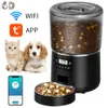 Dog Bowls Feeders 4L Automatisk kattmatare PET Smart Food Kibble Dispenser Timer rostfritt stål Bowl Auto för katttillbehör 231031