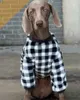 Hundkläder Big Hoodie Coat Stor husdjurskläder Vinterdräkt Poodle Schnauzer Corgi Husky Labrador Golden Retriever kläder 231031