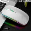 Souris 2.4G chargeant la souris de jeu sans fil portable ergonomique silencieuse et magique pour les ordinateurs portables tablettes téléphones iPad 231101