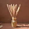 Faux Floral Verdura Fofo Pampas Grama Decoração Boho Arranjo de Casamento Natural Phragmites Flores Secas Buquê Casa Decoração de Mesa de Café 231101