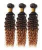 Brazilian Ombre Deep Curly Hair Bundles 3 Tone 1B430 Brown Ombre Brazilian Curly Virgin Human Hair Weaves3979277