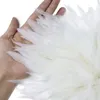 Hurtowe naturalne pióra bażantu do rzemiosła Kurczak Białe pióra kostiumowe Biżuteria