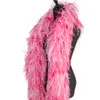 Boa en plumes d'autruche 10 plis, garniture de châle pour robe de carnaval Cosplay, couture, écharpe de décoration Pluma