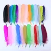 Plumes d'oie naturelles teintes multicolores, plumes de cygne pour artisanat, bijoux de mariage, accessoires de fête, 15-20cm/6-8 pouces, vente en gros