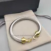 Kabelarmband Luxury Bangle Designer Classic Jewelry Woman Charm Armband BuckleBracelet Women High Quality Men 14k Gold 925 Sterling Silver