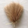 الزهور المجففة 10 30pcs Fluffy Pampas العشب الديكور الاصطناعي لحفل الزفاف Boho Bouquet Party Home Decor